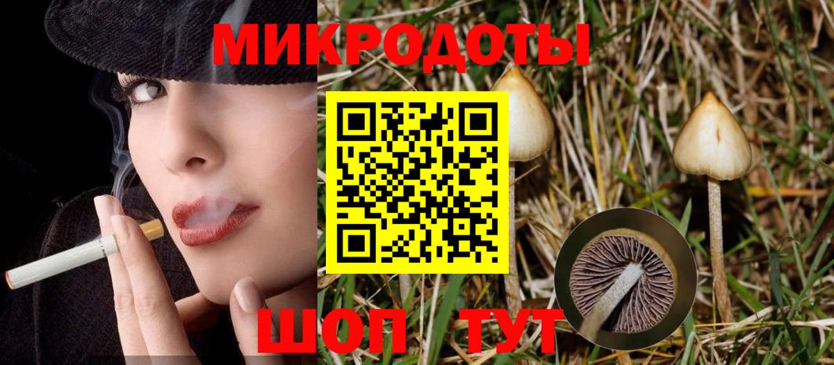 Галлюциногенные грибы GOLDEN TEACHER  Вход с VPN  Сатка 
